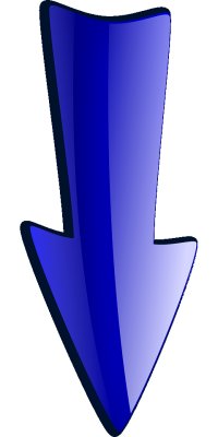 Fleche_Bas