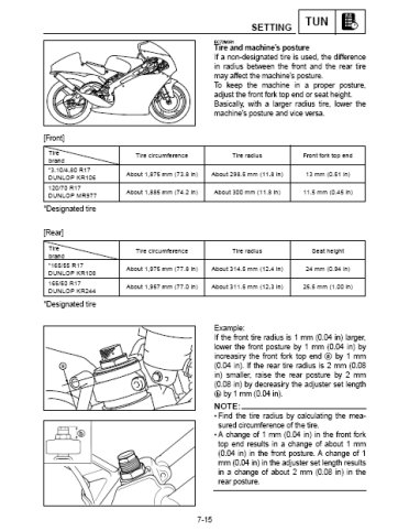 Yamaha TZ 250 - 2001