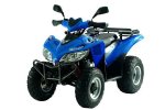 Sym Trackrunner 200 - Anglais